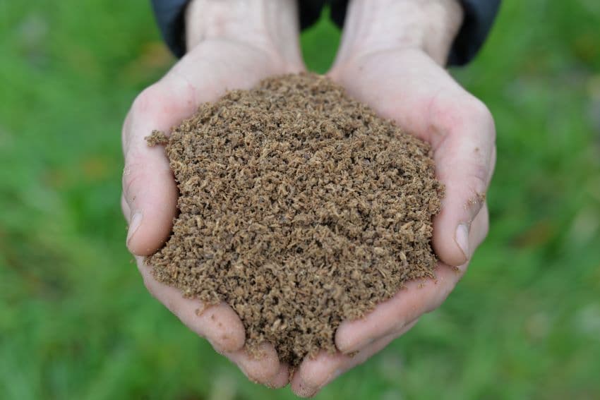 Substrat de culture à base de bois feuillus